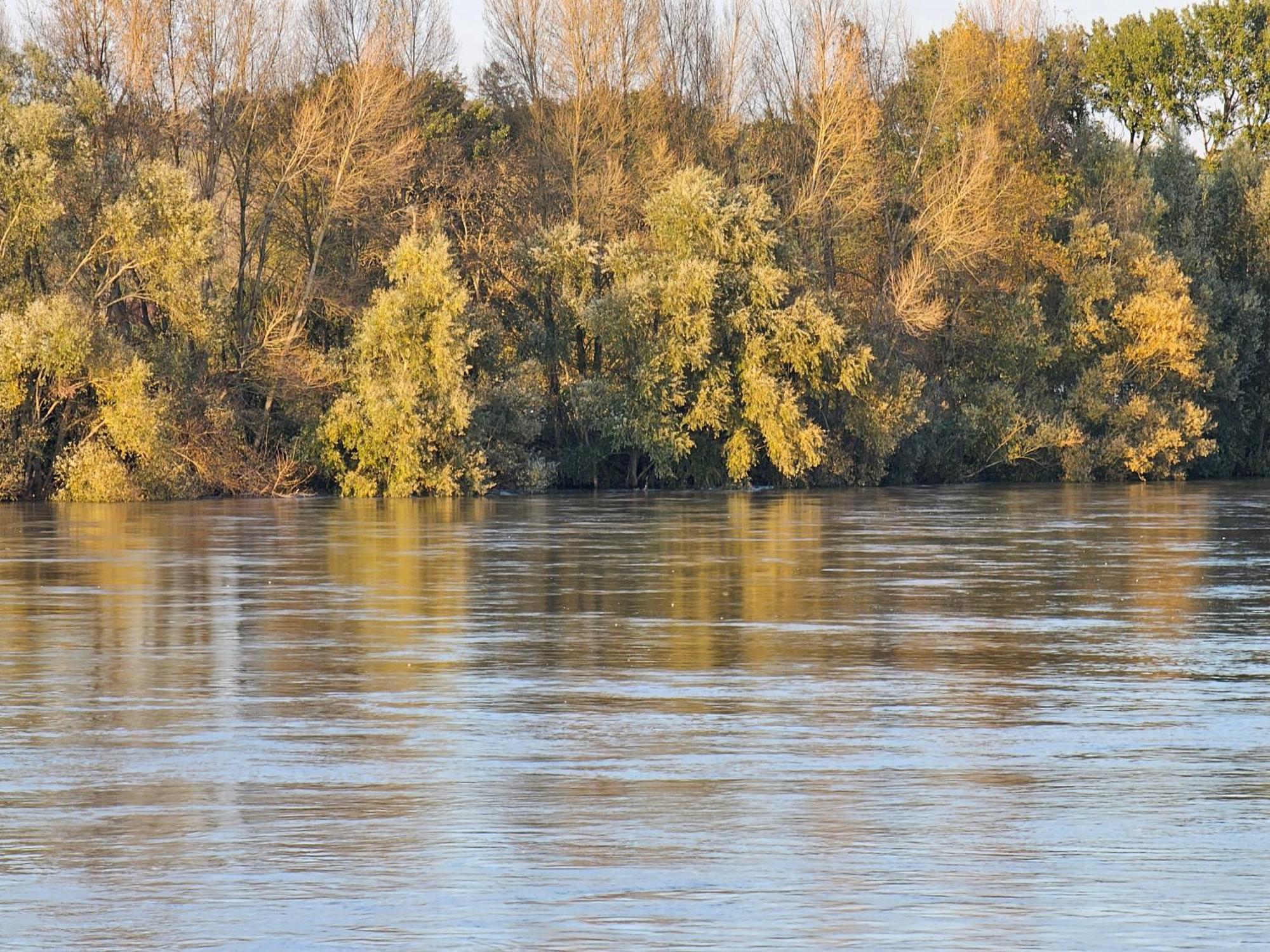 Отель La Grange Aux Moines Berthenay Экстерьер фото